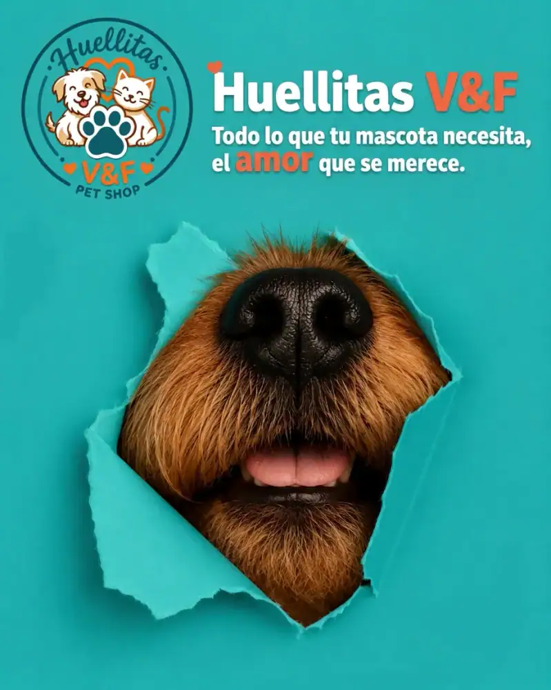 Mensaje de Huellitas V&F