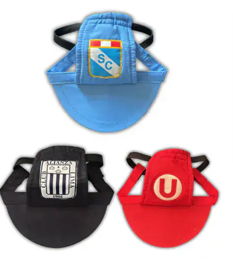Visera de equipos