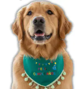 Bandana Cumpleaños