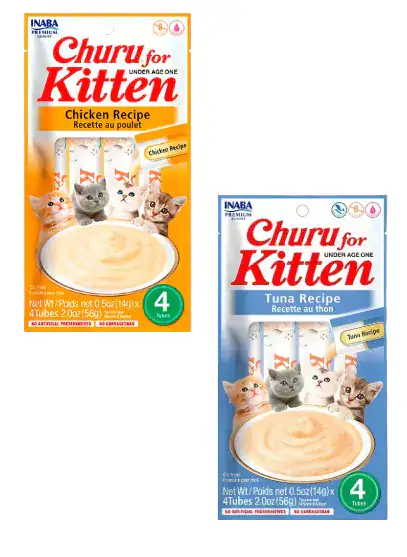 CHURU KITTEN (GATITOS) x4