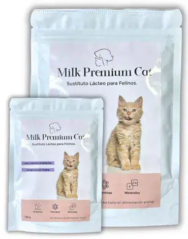 Milk Premium Cat
