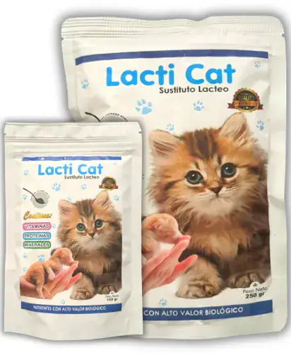 Lacti Cat