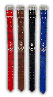 Collar con Púas Doble Fila especial