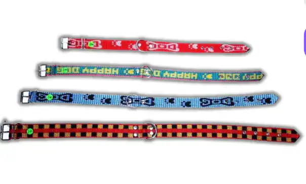 Collar de Nylon Económico