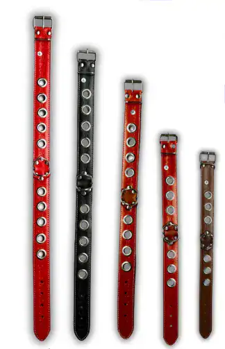 Collar ojal