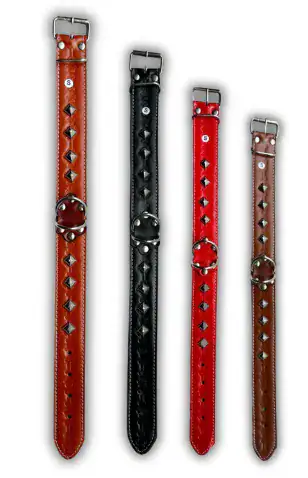 COLLAR APLICACION CONOS