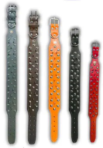 COLLAR AMERICANO CON PUAS