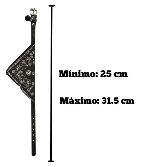 PLANCHA COLLAR BANDANA CHICO X12