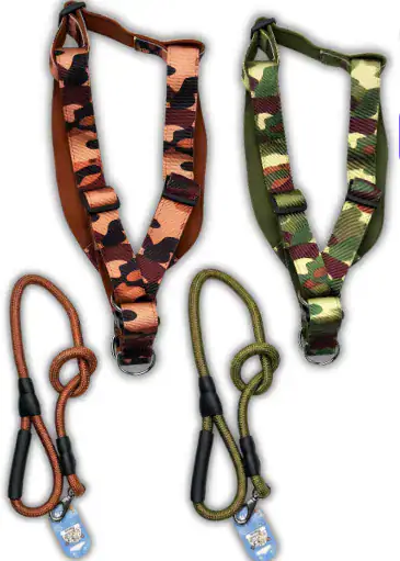 ARNeS CAMUFLADO