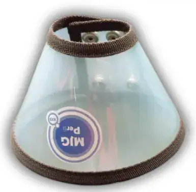 Collar Isabelino Gato