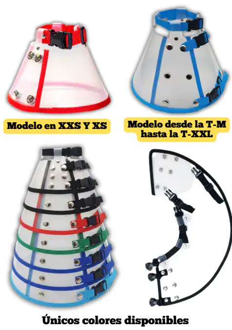 COLLAR ISABELINO RAZA