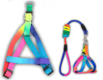 ARNES ARCOIRIS CON SOGA