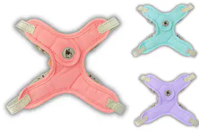 ARNES WANJIA HEXAGONAL