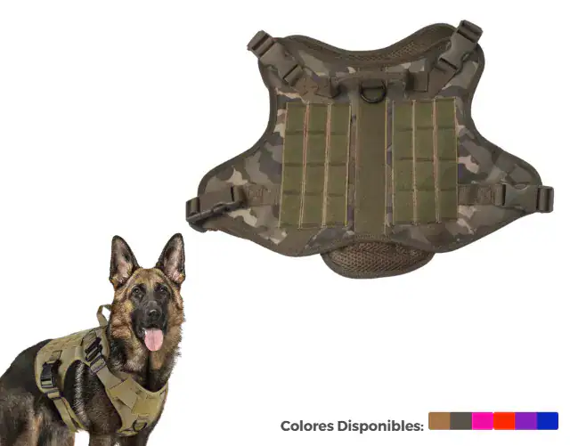 Pechera Militar Nacional