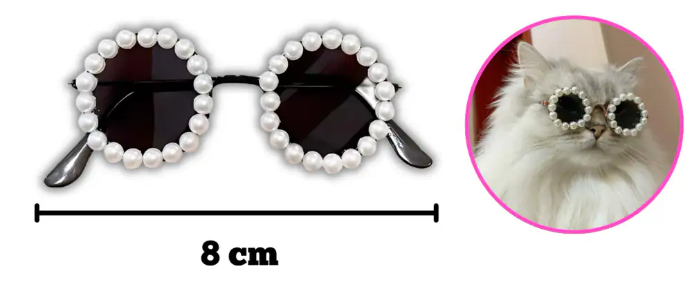 Lentes para Gato
