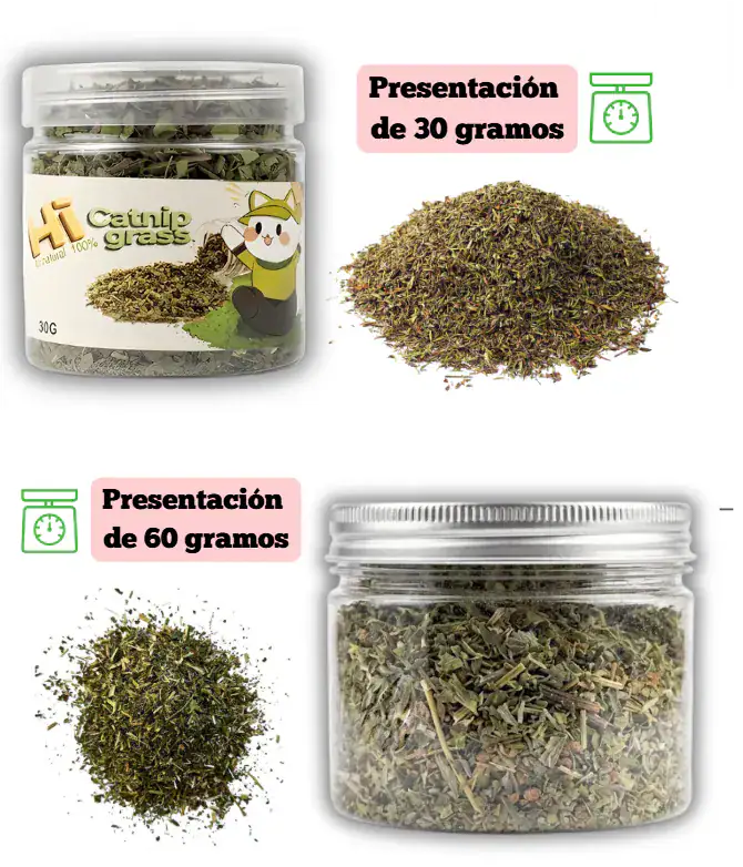 CATNIP EN FRASCO