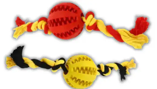 JUGUETE DOS AROS CON PELOTA