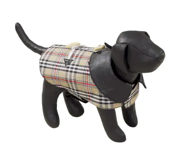 Maniquíes Perrito – Chico