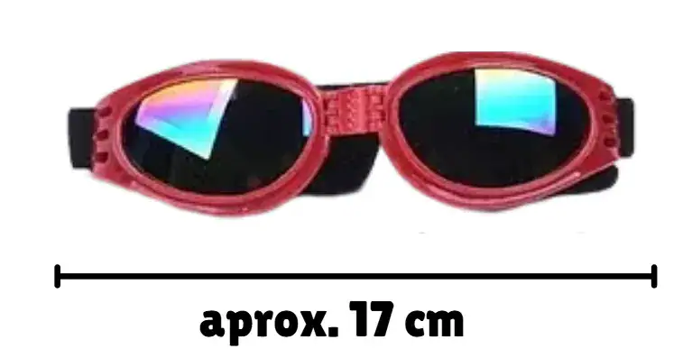 Lentes para Perro