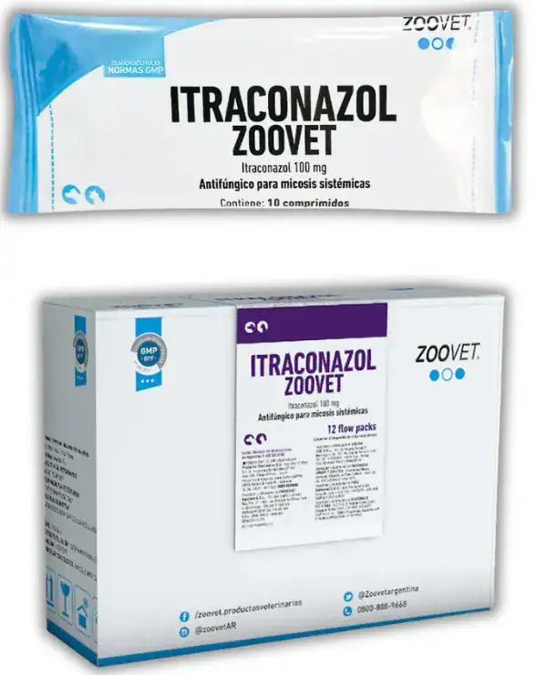 ITRACONAZOL 100 MG