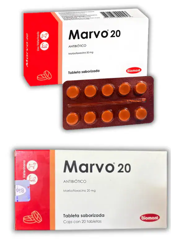 MARVO 20
