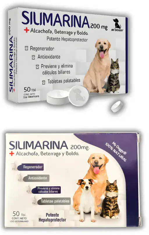SILIMARINA 200MG