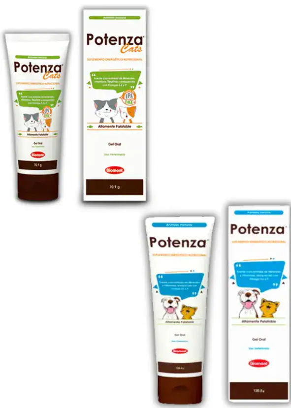 Potenza