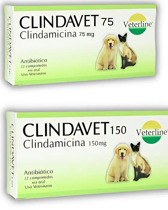 CLINDAVET x32 tab