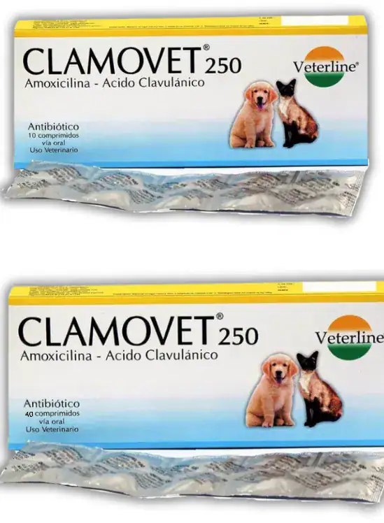 CLAMOVET 250MG