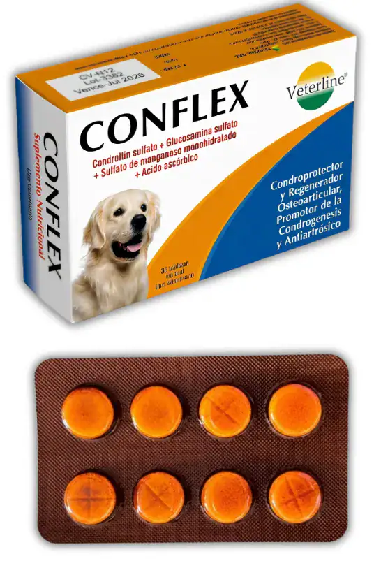 CONFLEX