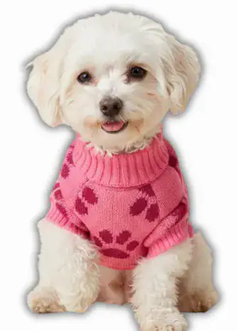 Chompa Lana CON DISEÑO