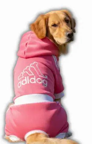 Buzo Adidog Dakota
