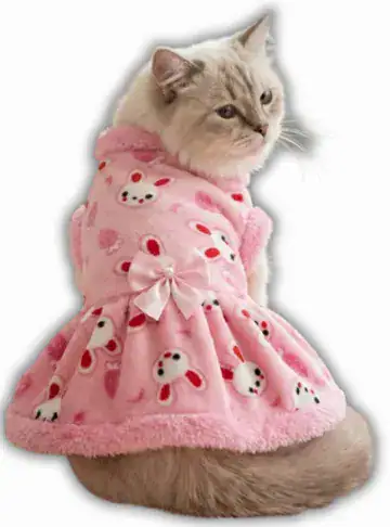 Vestido Felpa con Peluche