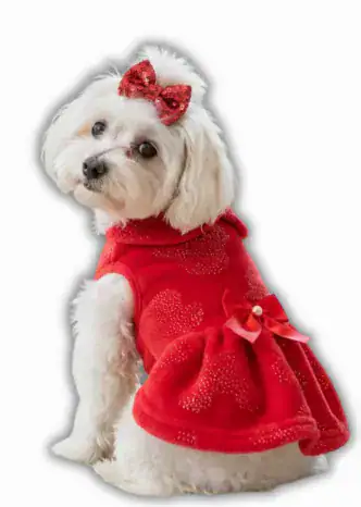 Vestido Felpa con Brillo
