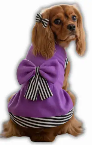 Vestido Polar Listado
