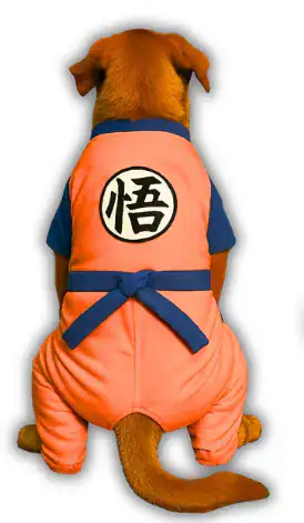 ENTERIZO GOKU