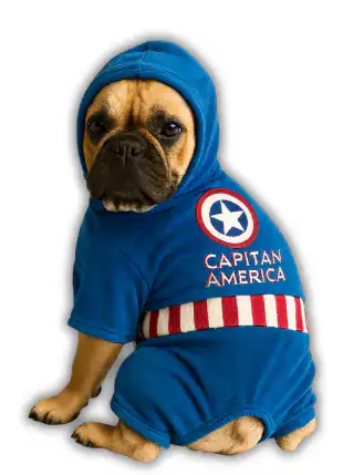 enTERIZO capitan america sullivan