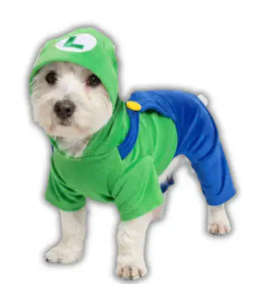 enTERIZO terciopelo luigi sullivan