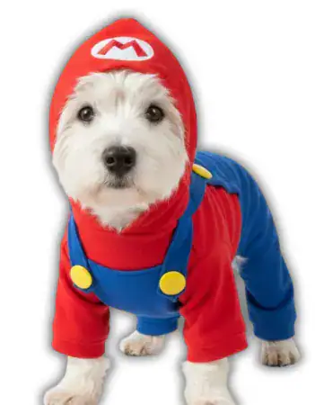 enTERIZO terciopelo MARIO sullivan