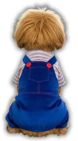 enTERIZO chucky sullivan