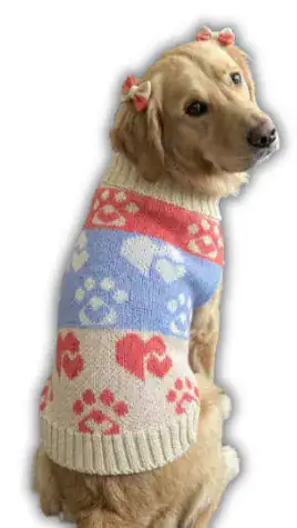 CHOMPA DE HILO