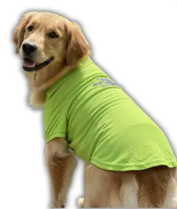 Polo Pique con Cuello Color Entero