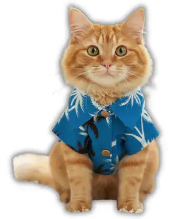 Camisa Playera