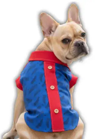 Camisa de Tela