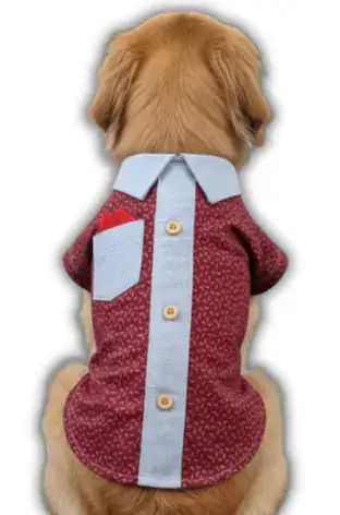 Camisa de Tela con Pañuelo