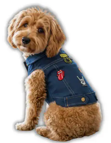 Casaca Jean Rockstar