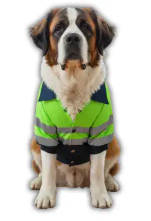 casaca POLICIA