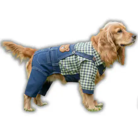 Overol Jeans con Camisa