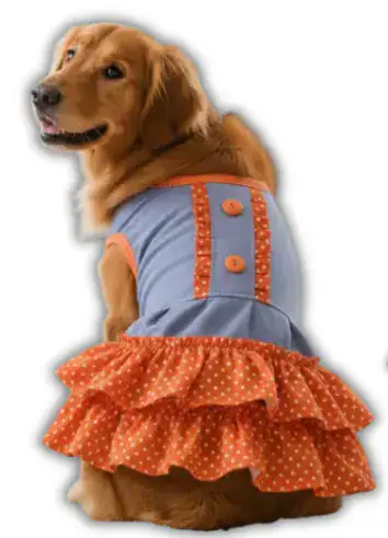 Vestido Jeans Doble Blonda