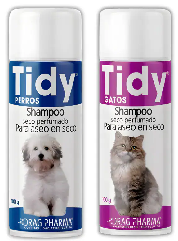 TIDY SHAMPOO SECO PERFUMADO 100 GR